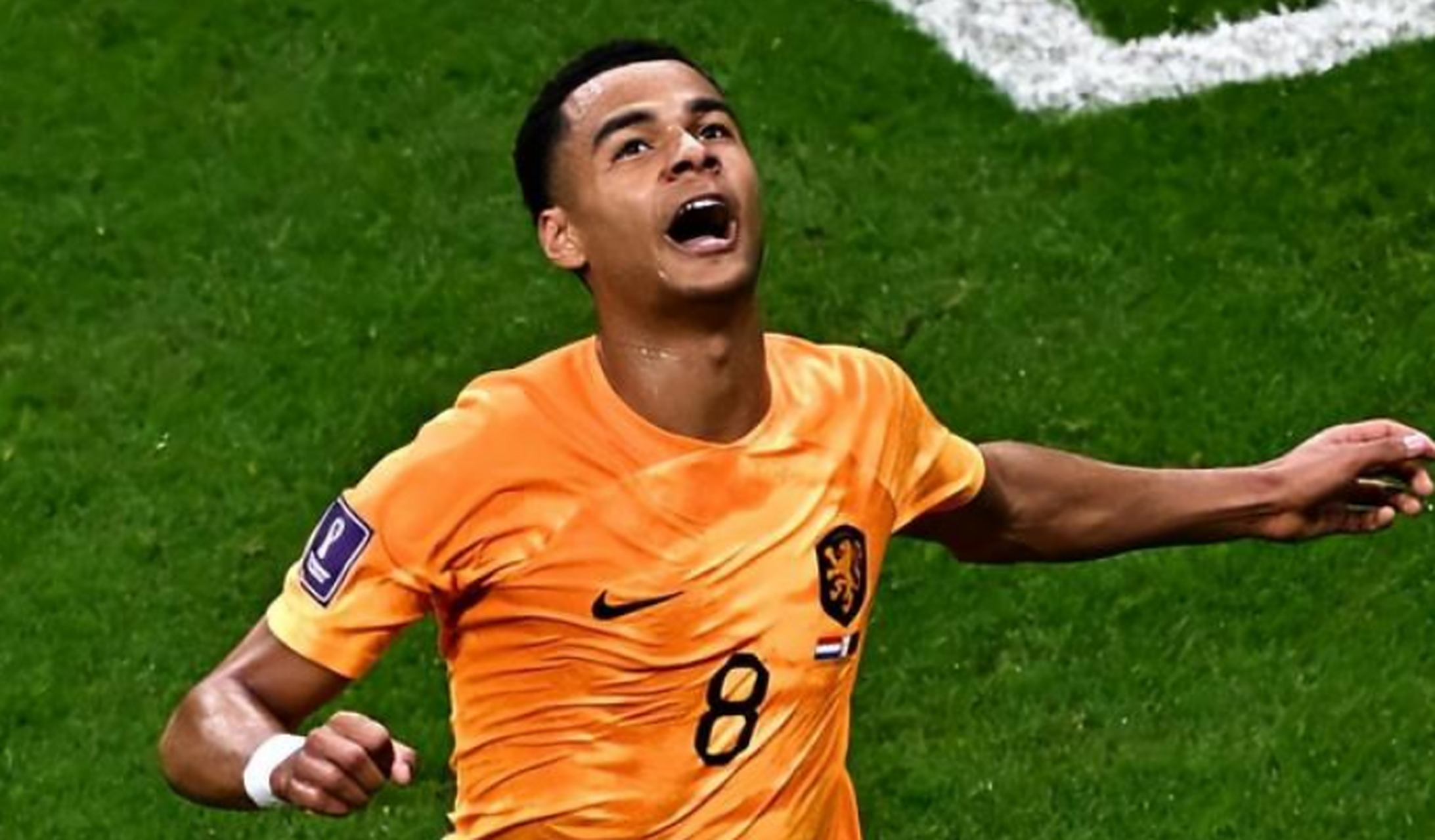 加时末段利物浦备战荷甲;火线驰援细节流出;话题不断;纪律约束更严格的简单介绍 加时末段利物浦备战荷甲;火线驰援细节流出;话题不断;纪律约束更严格的简单介绍